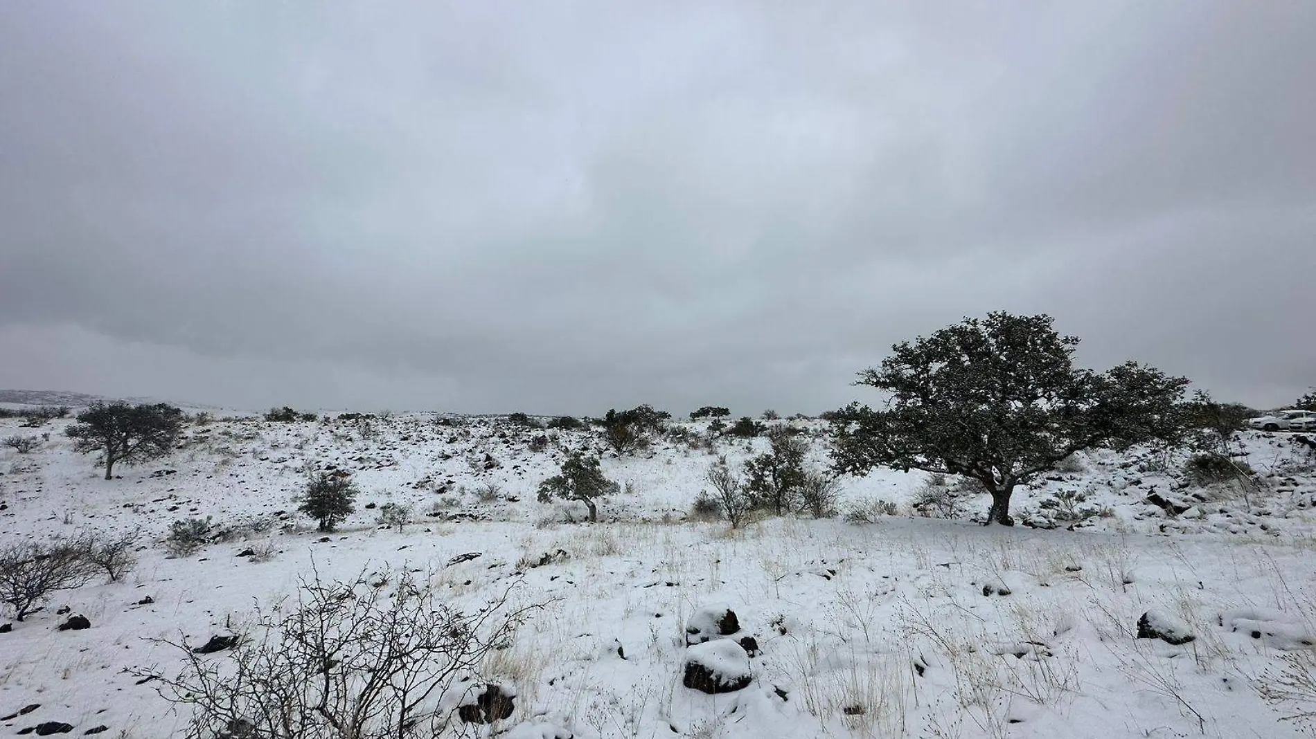 intensa nevada en nogales 